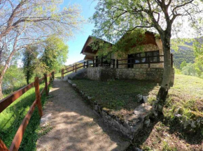 Apartments Svera